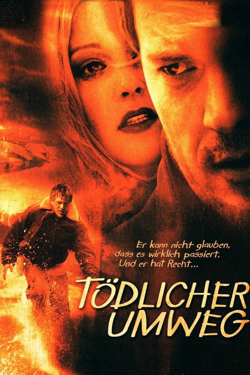 The Fake poster