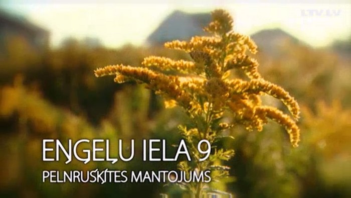 Eņģeļu iela 9. Pelnrušķītes mantojums poster