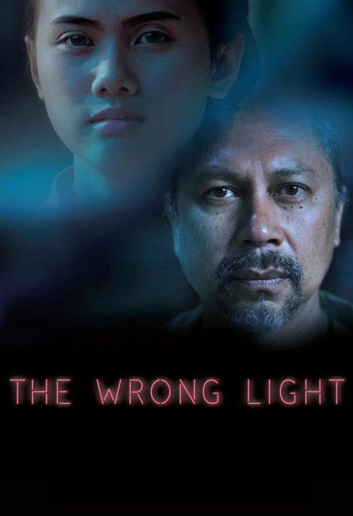 The Wrong Light poster