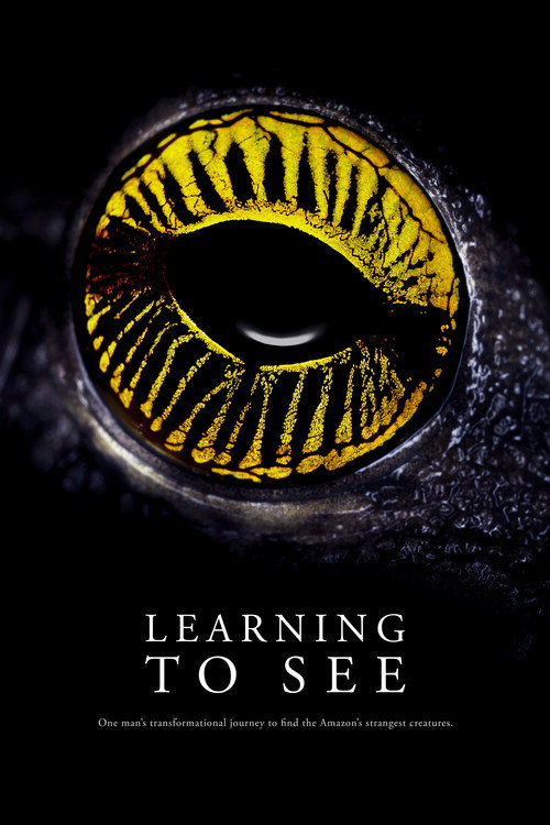 Learning to See: The World of Insects poster