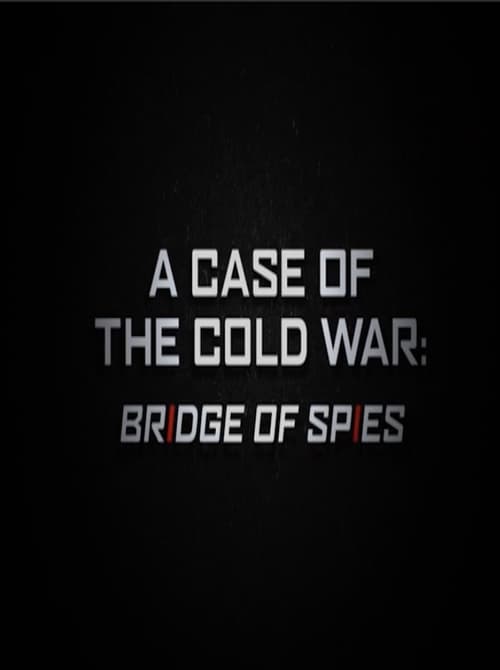 A Case of the Cold War: 'Bridge of Spies' poster