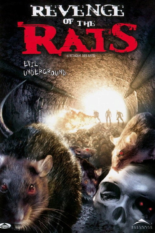 Ratten - sie werden dich kriegen! poster