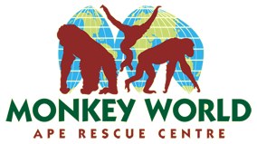 Monkey Business poster