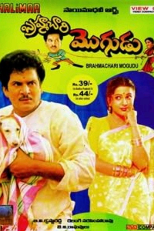 Bramhachari Mogudu poster
