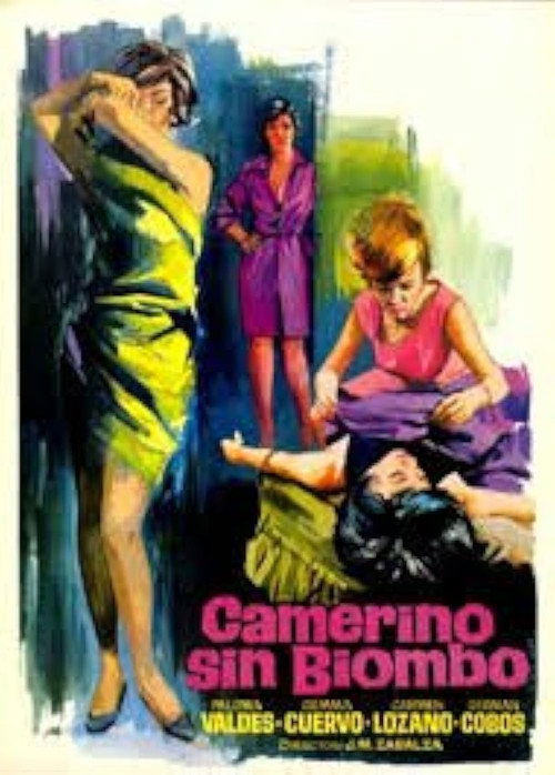 Camerino Without a Folding Screen poster