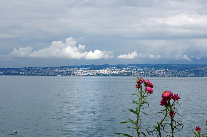 Meurtres sur le Lac Léman poster