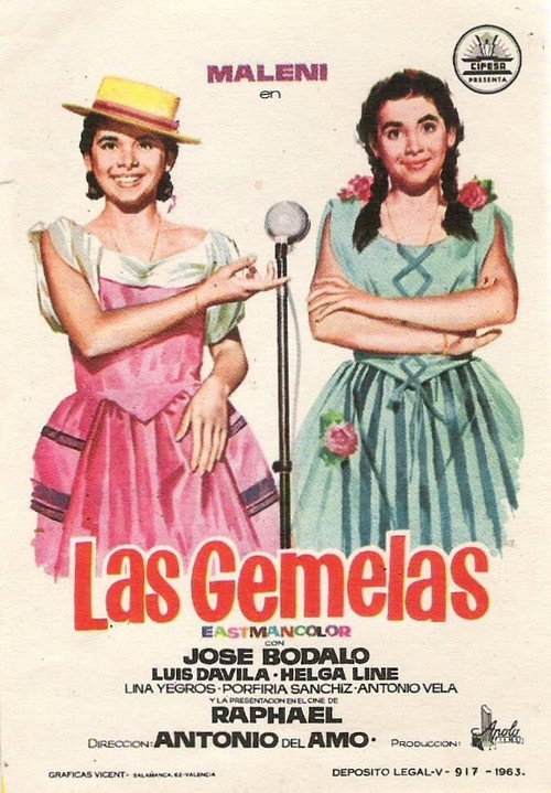 The Twin Girls poster