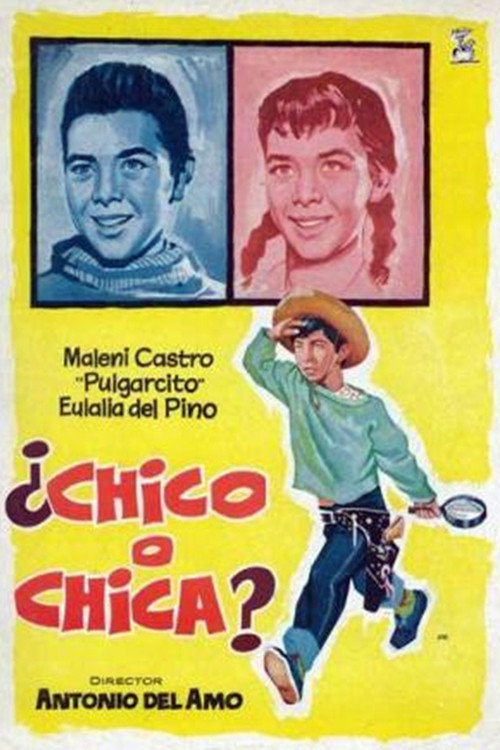 Boy or Girl? poster