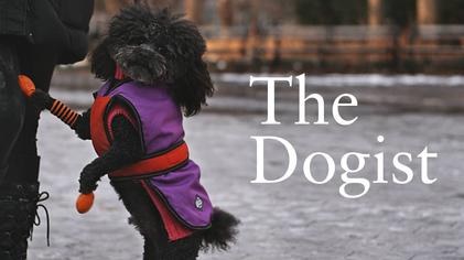 The Dogist poster