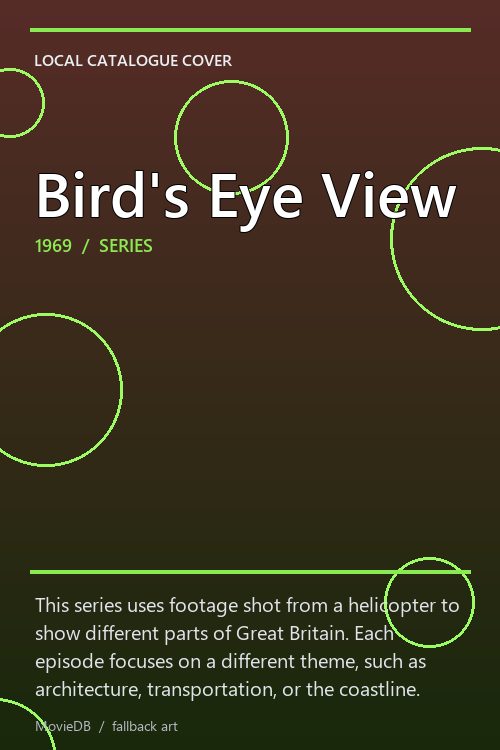 Bird's Eye View poster