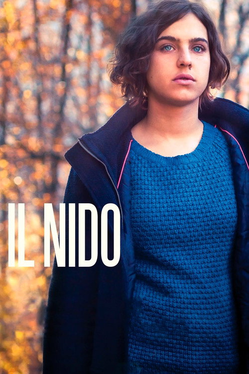 Il nido poster