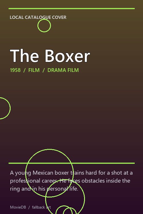 The Boxer poster