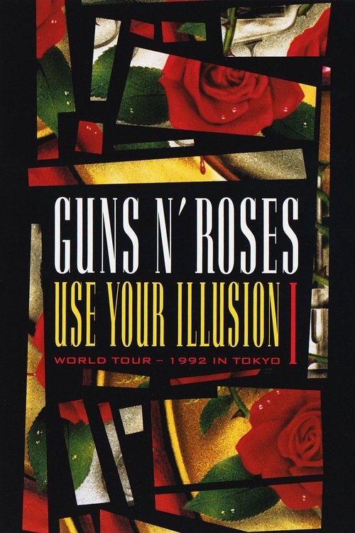 Use Your Illusion World Tour – 1992 in Tokyo I poster