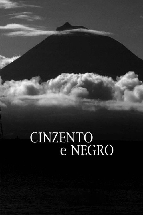 Cinzento e Negro poster