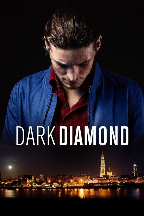 Dark Inclusion poster