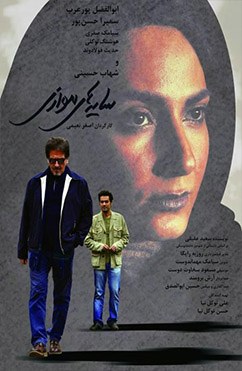 Parallel shadows poster