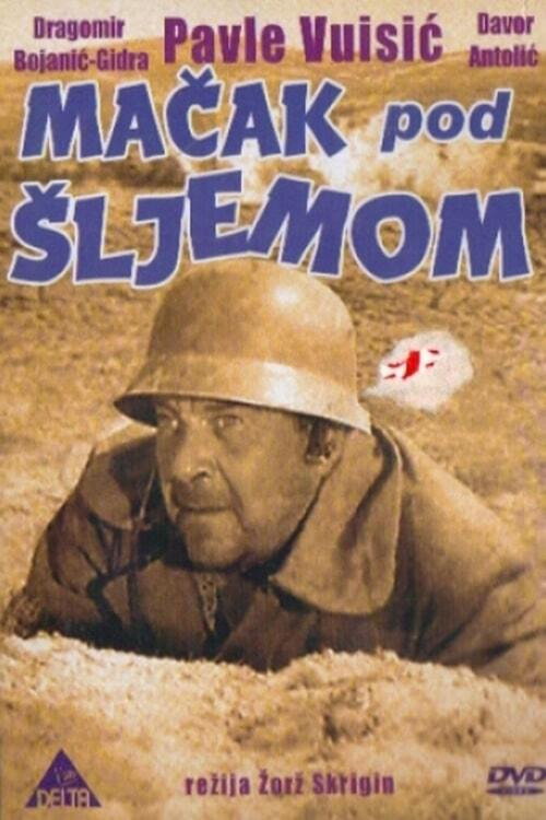 Mačak pod šljemom poster