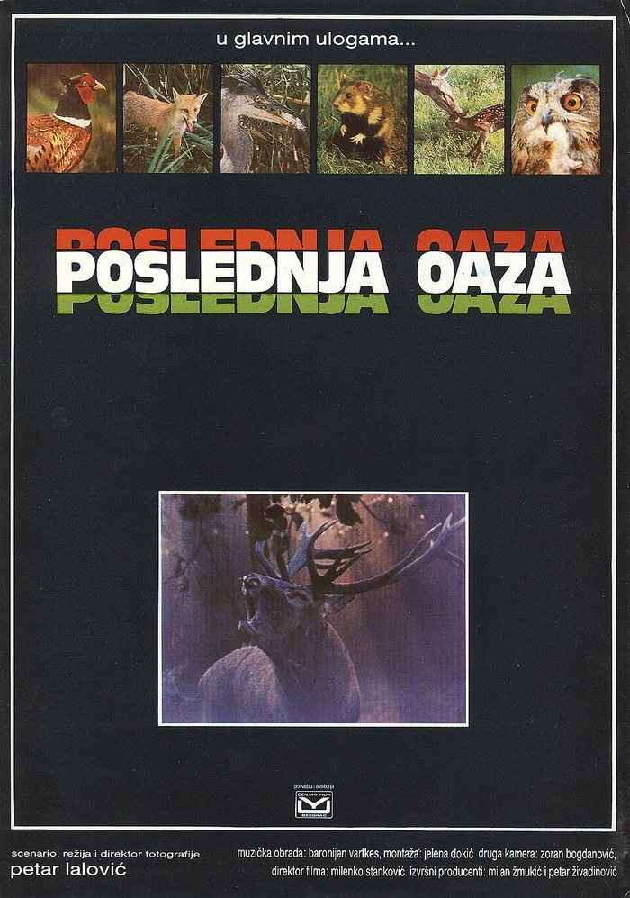 Последња оаза poster