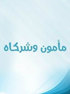 مأمون وشركاه poster