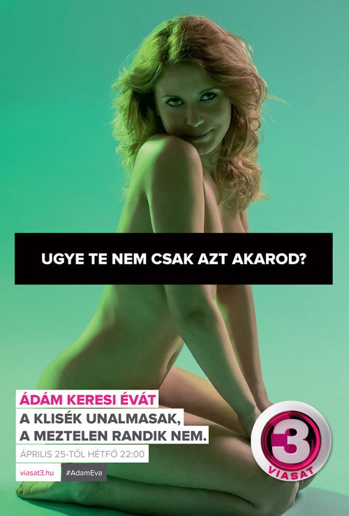 Adam Looking for Eve poster