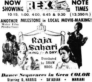 Raja Sahari poster
