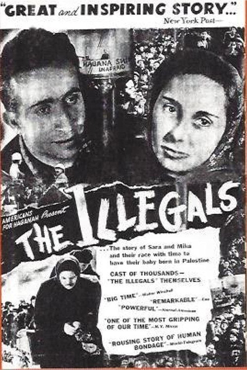 The Illegals poster