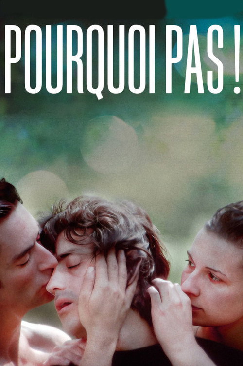 Why Not? poster