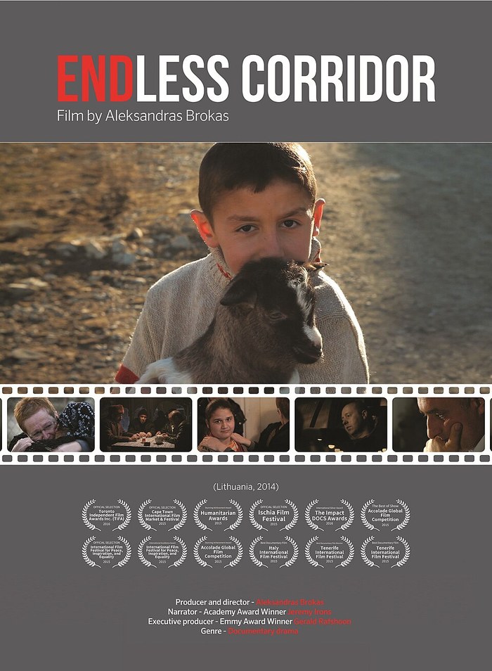 Sonsuz dəhliz poster