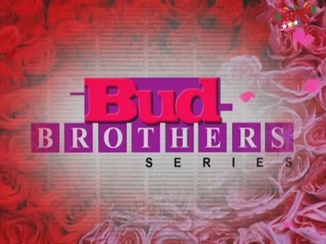 Bud Brothers Series poster