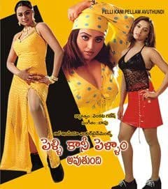 పెళ్ళి కానీ పెళ్ళాం అవుతుంది poster
