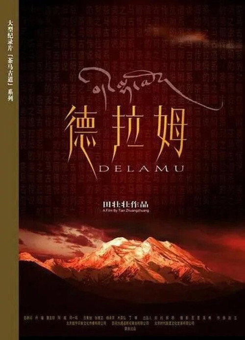 Delamu poster