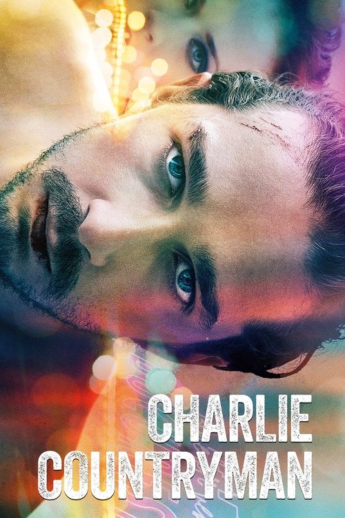 The Necessary Death of Charlie Countryman poster