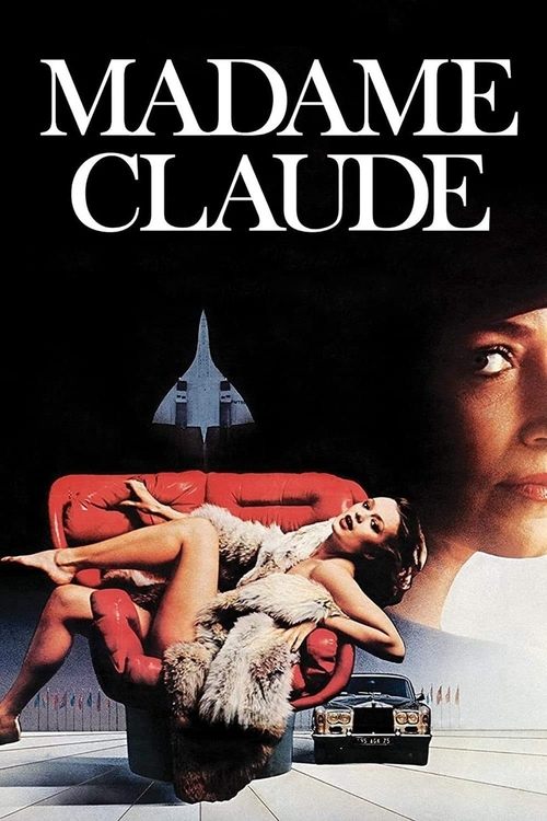 The French Woman poster
