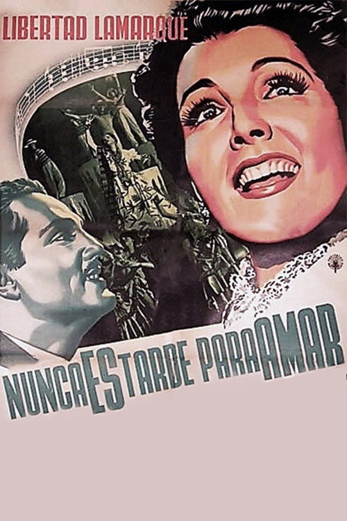 It Is Never Too Late to Love poster