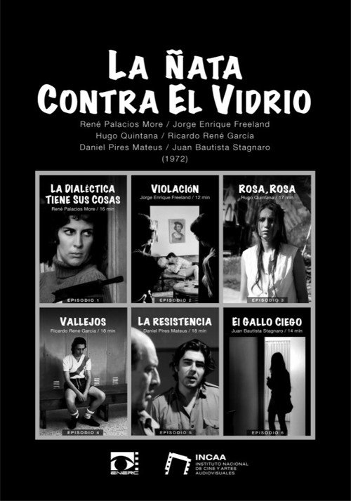 La ñata contra el vidrio poster