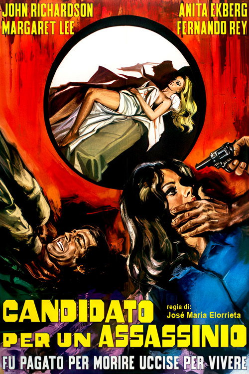 A Candidate for a Killing poster