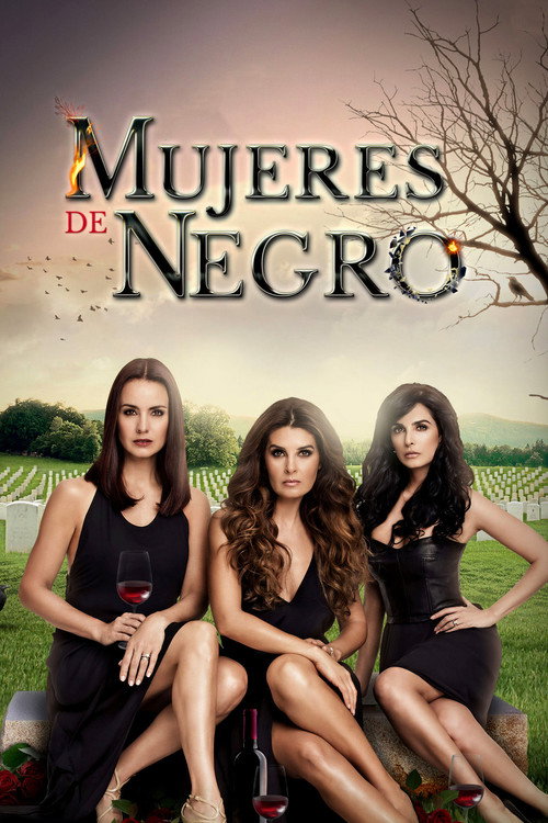 Mujeres de negro poster