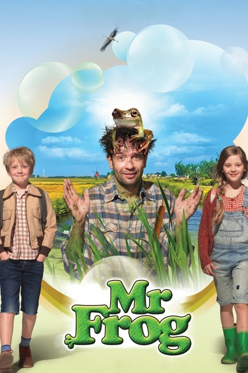 Meester Kikker poster