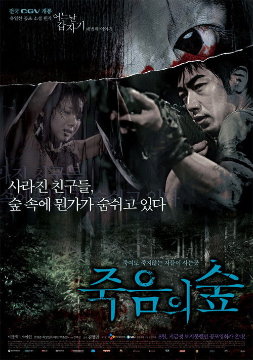 Dark Forest poster