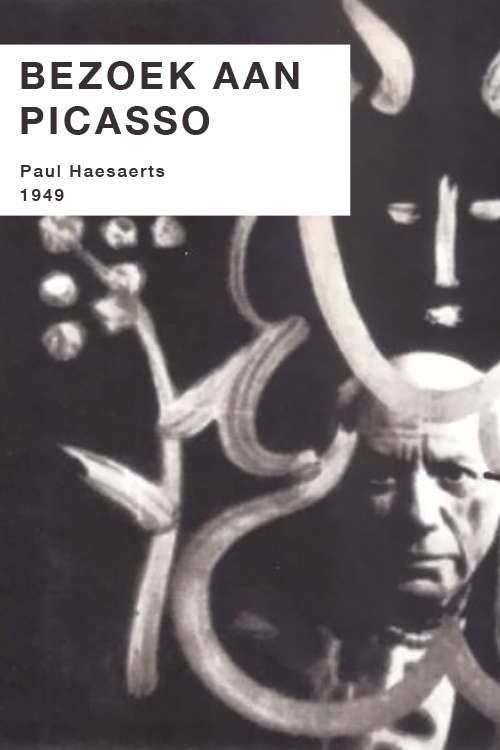Visit to Picasso poster