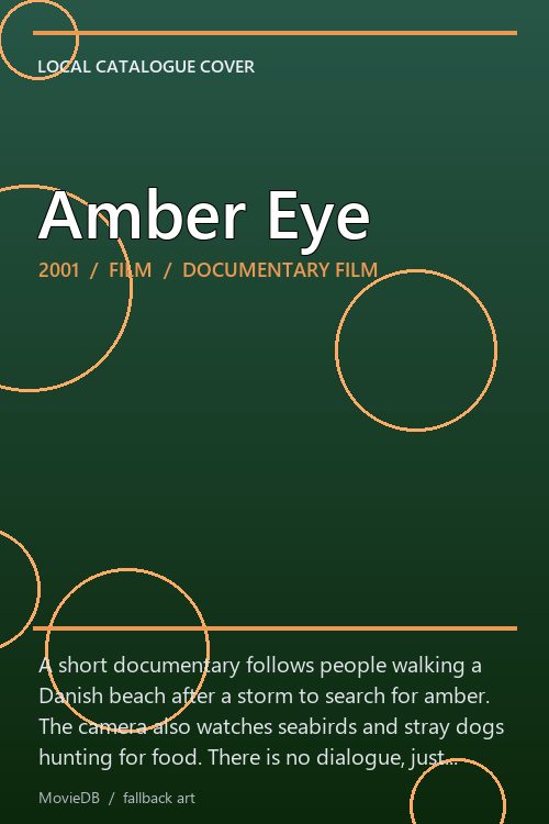 Amber Eye poster