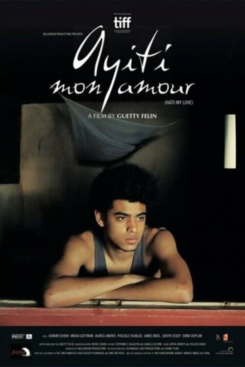 Ayiti Mon Amour poster