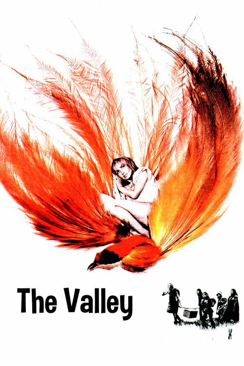La Vallée poster