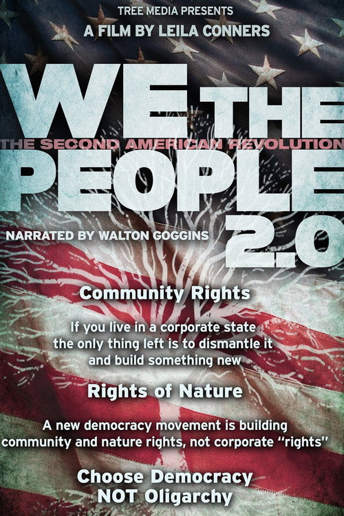 We the People 2.0 poster