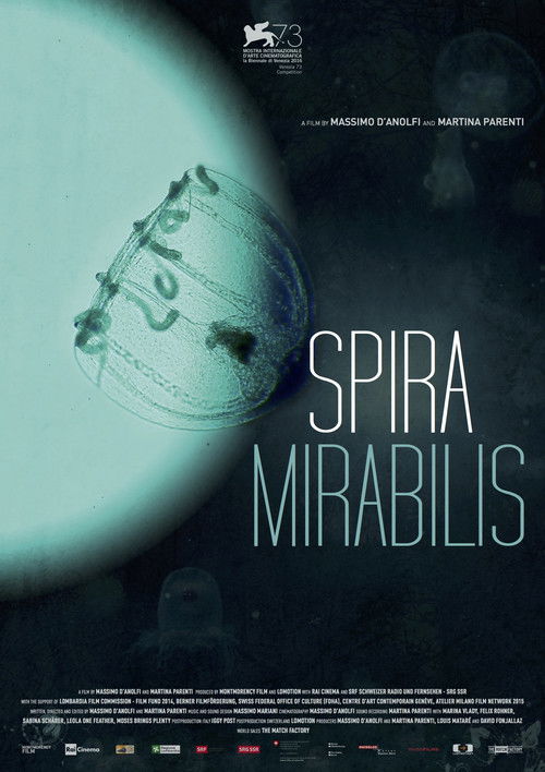 Spira Mirabilis poster