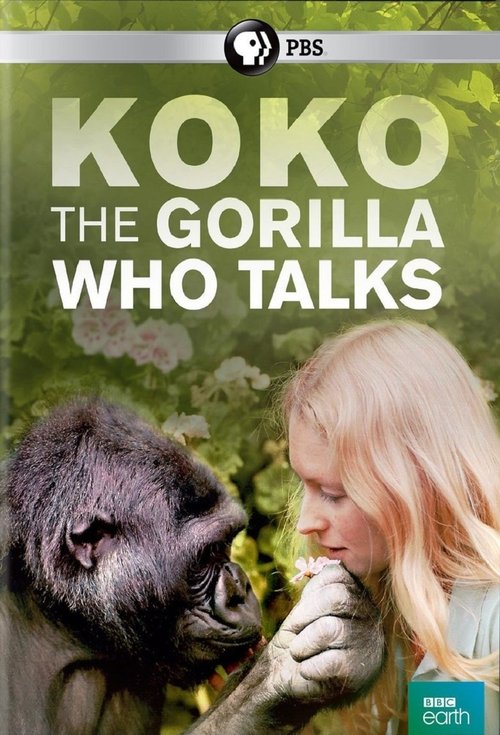 Koko: The Gorilla Who Talks poster