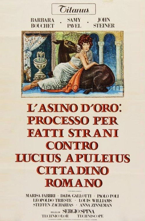 L'asino d'oro: processo per fatti strani contro Lucius Apuleius cittadino romano poster