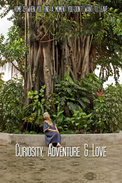 Curiosity, Adventure, and Love poster