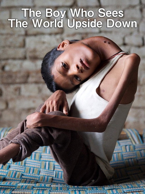The Boy Who Sees Upside Down poster