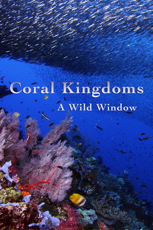 Wild Window: Coral Kingdoms poster